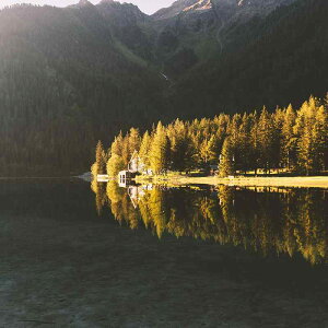 fXN}bg fB[X 킢 bNGbW  B z }EXpbh i A[g [NXy[X e[N [g[N ݑΖ