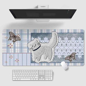 }EXpbh 킢 L VRS fXN}bg  ~ ItBX z[ 800*300*2mm 900*400*3mm