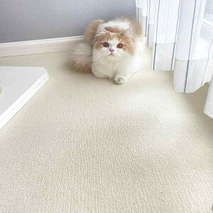 O xr[ ʐ^Bep J[ybg rO Z^[O ߖX Q n AC{[ ~` ` 킢 ؍