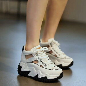 Xj[J[ fB[X p  v U[ X|[c   22.5cm`25cm ʋC NbV JWA ig