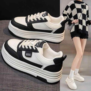 Xj[J[ fB[X [Jbg ^C R ؂ S bV ؂ւ X|[c JWA ʋC ₷ ~ wlC p Ĕ 