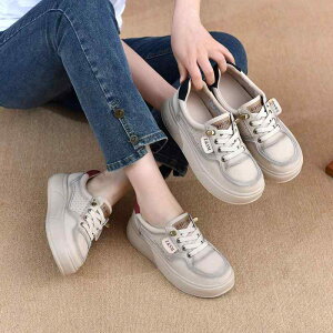 Xj[J[ fB[X p wlC g zF tbg ؂ [q[ _炩 \tgU[ {v EhgD Xb| JWA t