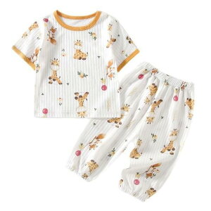 xr[ TVc pc ㉺Zbg  100% V Ԃ pW} [EFA Y{ t 킢  Aj}