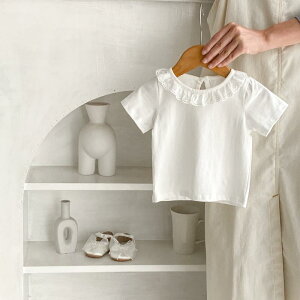 TVc xr[ [X ԕ   jbg gbvX Jbg\[ Ci[ t 100% 킢 ig 66 73 80 90 100 zCg