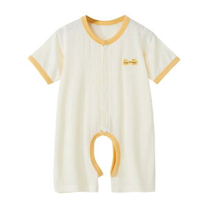 xr[ p[X t  OJ V Ԃ c  S? 킢 j̎q ̎q pW}  CG[ O[ u[ sN