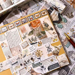 e[v ae[v DIY 蒠  fR[V A[g Ntg 킢