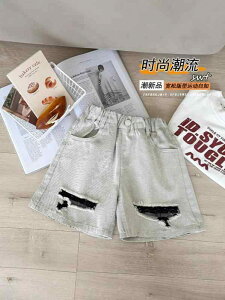 q pc j̎q fjpc n[tpc qp 5pc _[WH  i  100% O[n t