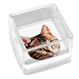 X^v L   Aj} 킢 Jt 蒠 fR[V 