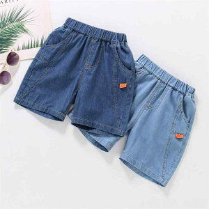 q pc j̎q fj n[tpc X^C  100 Zp 0zAfqh 0A]  _炩 ɗD ʉ ig