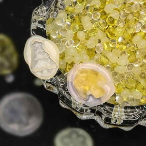 ��� �Ύ�? 500g ���� �Ύ� �V�[�����O���b�N�X �� ���E���h �f�R���[�V���� �p�[�e�B�[ ������ �N���X�}�X �n���E�B��