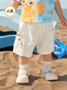 q fjV[gpc xr[ jp n[tpc c ܕpc u[W[Y zCg 킢 JWAX^C Lk EGXgS 80cm 90cm 100cm 110cm 120cm