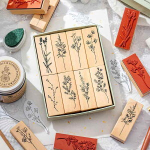  X^v ԕ  {bNX 蒠 fR[V  킢