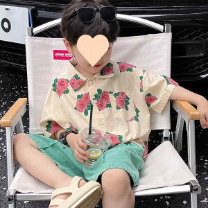 q Vc Zp ZbgAbv  ][gX^C j̎q ԕvg   