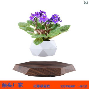 ~ CeA C 󒆖~  ~jϗtA CV~ Mtg 蕨 _ Vv  ABS [Fؖ