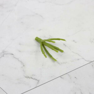  DIY p[c AWTC o  z[fR[V O[