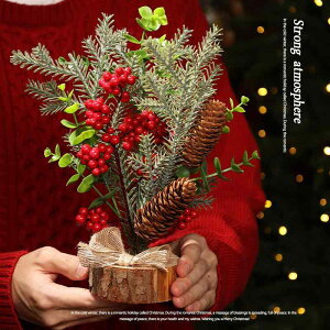 NX}Xc[ ڂ  fR[V  ~j 킢 IuWF Cxg