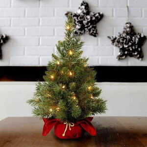 �N���X�}�X�c���[ �~�j ��� 60cm PVC ���b�h �S�[���h �� �� �f�R���[�V���� �I�[�i�����g �C�x���g �p�[�e�B�[ �X�� �f�B�X�v���C