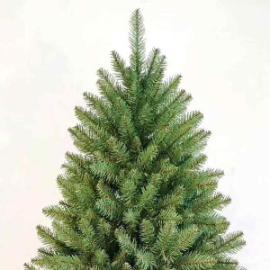 NX}Xc[ 150cm 180cm PVC 듃^ NX}X  simulation  ze VbsO[ Cxg p[eB[ fR[V