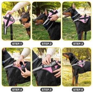 pn[lX [h ^p Ԕ xXg^ [v iC Up F F ԐF F ΐF DF sN