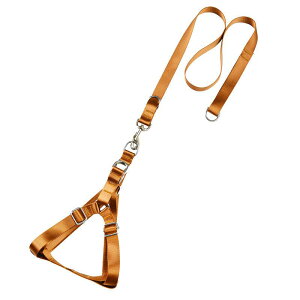 p [h ^p [v iC ybgp P U 2cm 1.2m t ubN uE J[L