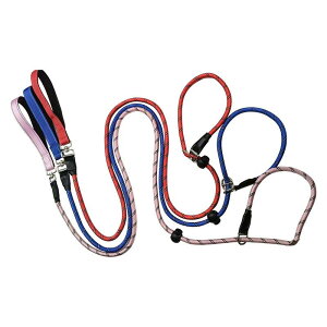  [h ^ ^ Lk  Up P p iC F F F ԐF F sN