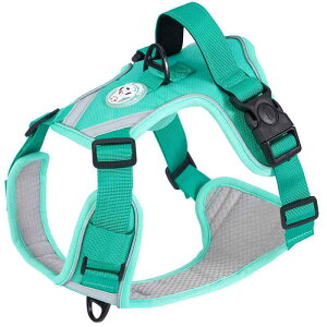 n[lX ^p ˕z [v ybgpi p Lp U  bV ʋC Up [h Eɂ 킢  CG[ O[ ubN Cbh u[