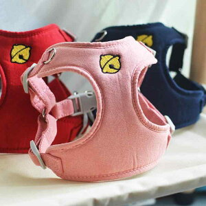 pn[lX ^p[h xt hbOEFA  ybgpi efB |jA U [v XS S M L XL   sN  