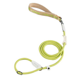 p P [h ^ ^ Lk \ ɂ iC Up ybgpi IW CG[ O[ p[v