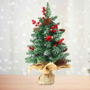 NX}Xc[ ~j  45cm 60cm NX}X fR[V fBXvC PVC z 킢