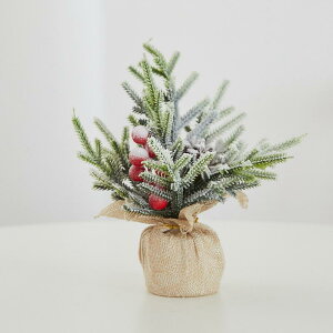 NX}Xc[ ~j  20cm PEf NX}X p[eB[ Cxg fBXvC fR[V 킢