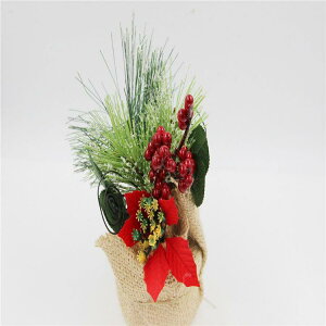 NX}Xc[ ~j NX}X  ڂ ̗t Ԃ fR[V 