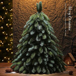 NX}Xc[  30cm 45cm 60cm PE m[ut@[  ~jNX}Xc[ NX}X fR[V