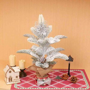 NX}Xc[ ~j   ͋C 킢 NX}X fR[V t vX`bN fBXvC