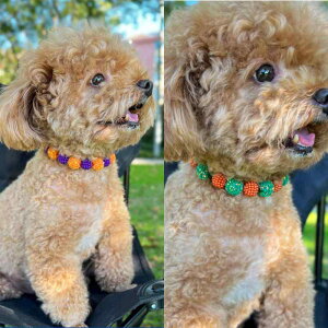 plbNX p ybgANZT[ 􉽊w͗l ~bNXJ[ XpR[ r[Y  IW  sN  킢 JWA