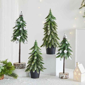 NX}Xc[ ~j  22cm PE NX}X fR[V fBXvC t I[ig Cxg p[eB[ rO 