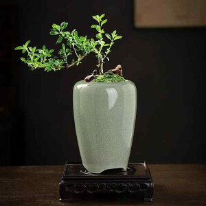 ԕr  F? ̉ԕ ƒp  A | 召TCY Aؔ ~ ItBX ze VbsO[ K[fjO ΉvWFNg