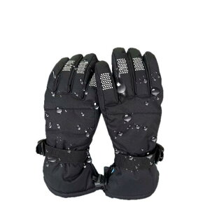  jp XL[ O[u H~ h h  ^b`pl Ή ߉\ AEghA X|[c TCN O[u 