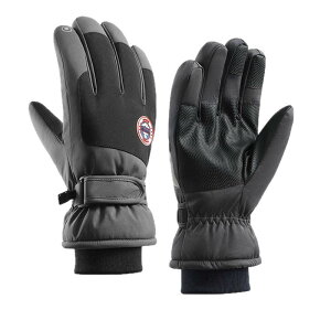  jp h h O[u N ^b`plΉ XL[ TCNO AEghA H~   DF(x2)