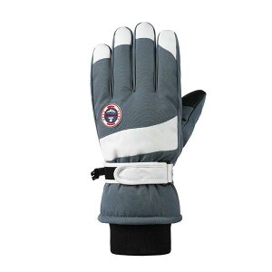  fB[X XL[ O[u H~ h h h  ^b`plΉ X}[gtHΉ N ~ߕt ] oCN AEghA X|[c oR jp p