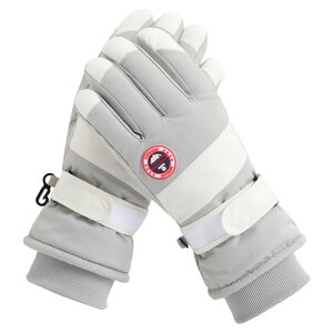  jp h h  N  ۉ ^b`plΉ O[u XL[ oCN AEghA F sNn ubN O[ x[W p[v