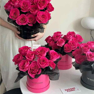 ԕr oPc [YsN Zbg ~[   t[AWg Mtg{bNX