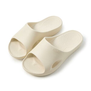 T_ fB[X Y  [V[Y Xbp EVA ~ tbg Ȃ A[`T|[g oXXbp C  V[ t H~