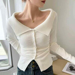 J[fBK fB[X jbg ꎚ  gbvX  ubN ZNV[ 킢 H H~ ݕt ʋ