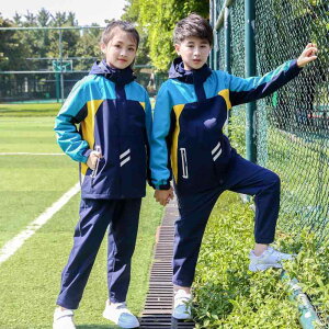 XN[EFA LbY h ㉺Zbg h h WPbg pc 2_Zbg j̎q ̎q qp EChu[J[ AEghA oR XL[ XP[g ʊw