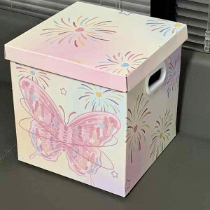 Mtg{bNX bsO{bNX e 30cm J[g 킢 o^tC  蕨 a LO