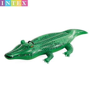 V t[g qp j   rj eq  O[