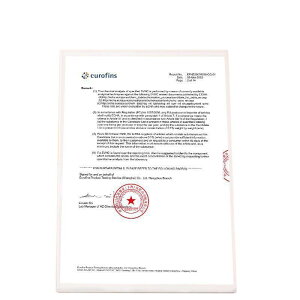 Vv[nbg l qp oXObY h~ V[Lbv Ĕ u[ sN uV Jbv 21iK߉\