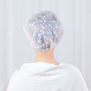 Xq fB[X LbY  h ߉\ C  V[