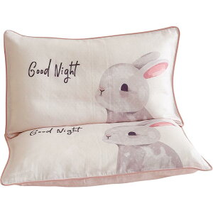 Jo[ q S xr[ Ԃ 30×50cm z ʋC  K[[ 킢 INS ETM RA vg