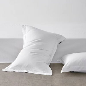 Jo[ Rbg 40Ԏ zCg ze h a@ Ɩp n Q